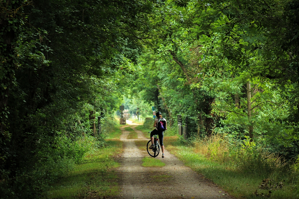 Forêts & 
Meuse à vélo